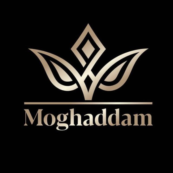 ماساژور مثلثی چرخشی مدل FASCIAL GUN HB-003 عمده در بازار صالح آباد ...